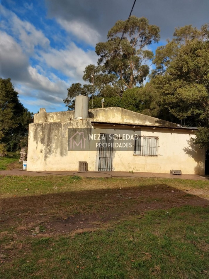 VENTA CASA Y 3 HECTAREAS 