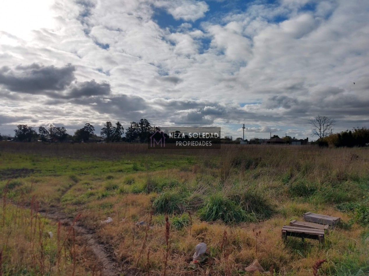 VENTA CASA Y 3 HECTAREAS 