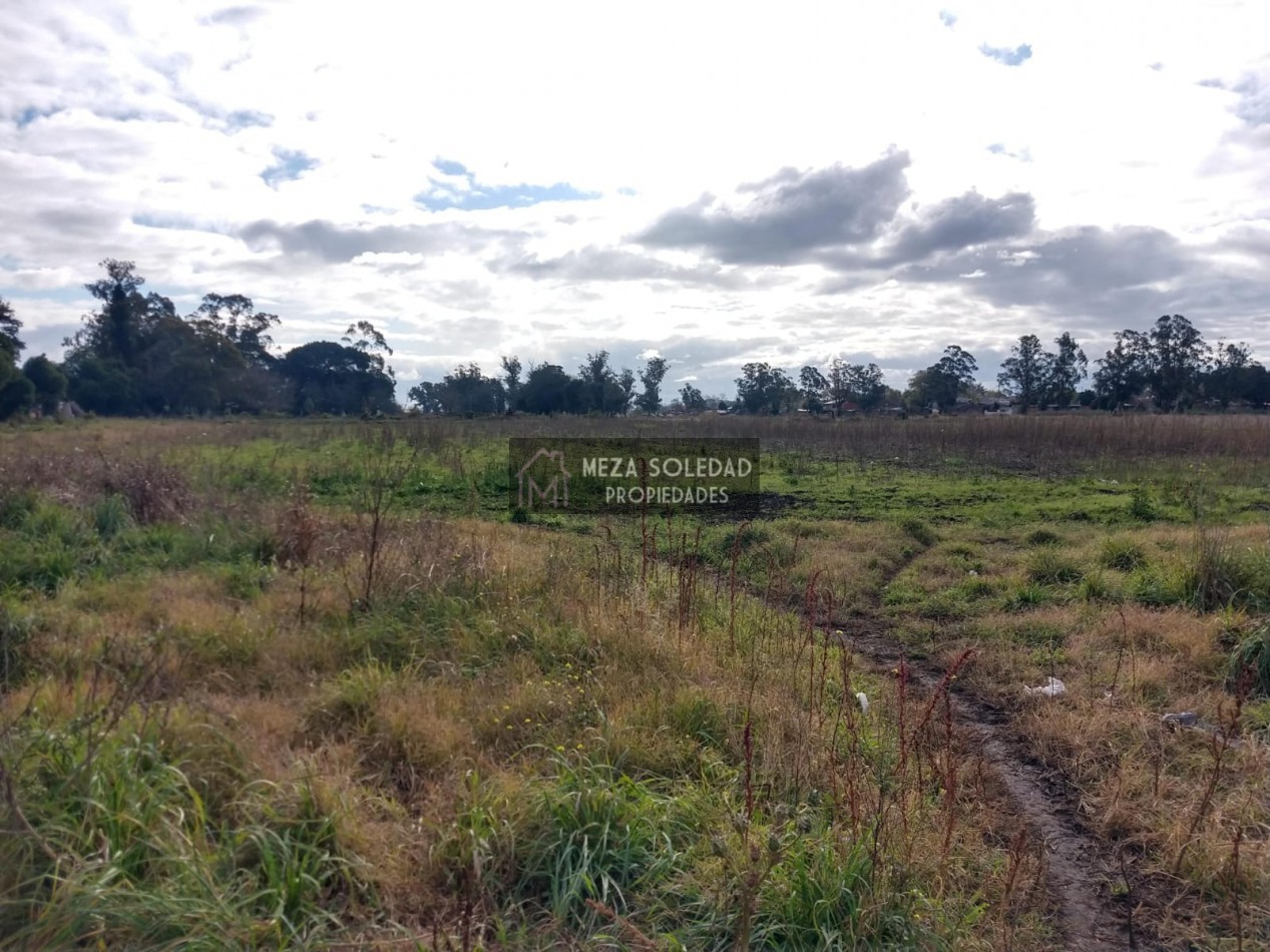 VENTA CASA Y 3 HECTAREAS 