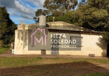 VENTA CASA Y 3 HECTAREAS 