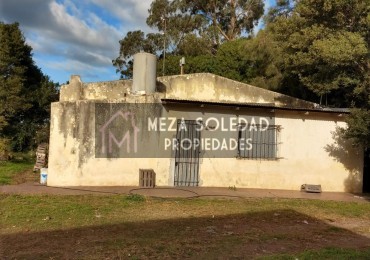 VENTA CASA Y 3 HECTAREAS 